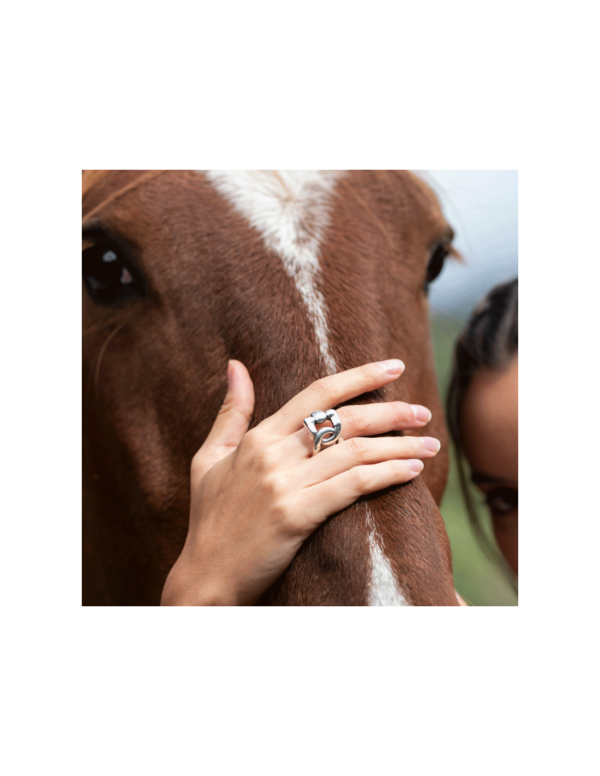 Ciclon - BAGUE Charro plaqué argent