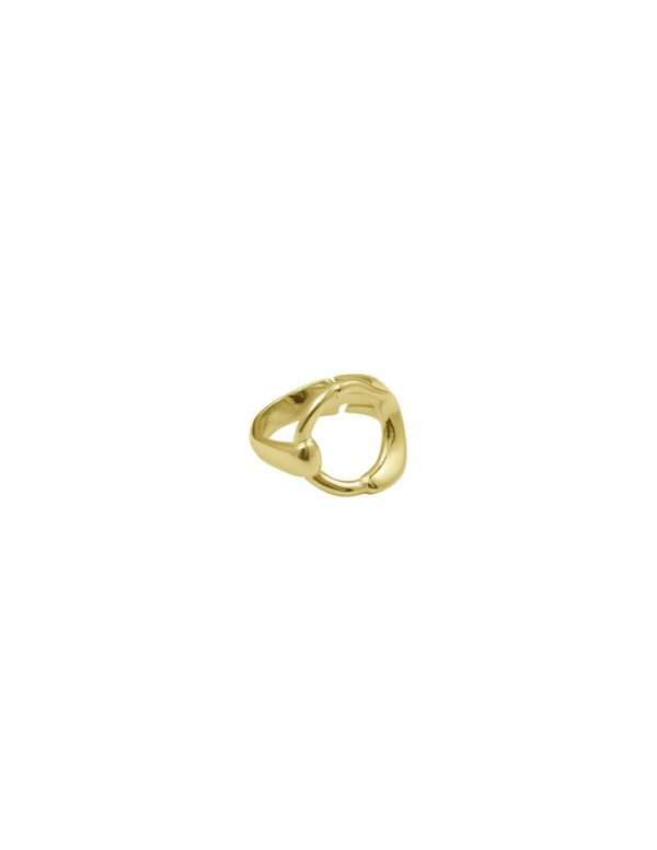Ciclon -BAGUE DÍA Y NOCHE OR